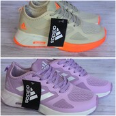 Жіночі кросівки Adidas всього 480 грн